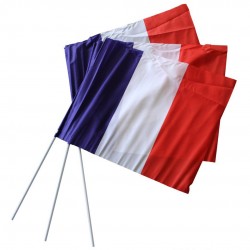 Drapeau de supporter