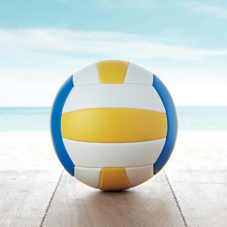 Ballon de volley-ball