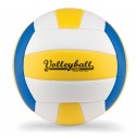 Ballon de volley-ball