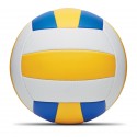 Ballon de volley-ball